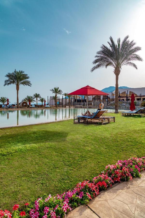 منتجع لو ميريديان دهب المظهر الخارجي الصورة The pool at the resort